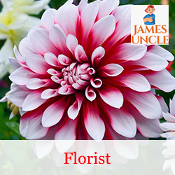 Florist Mr. Narayan Haolader in Payradanga